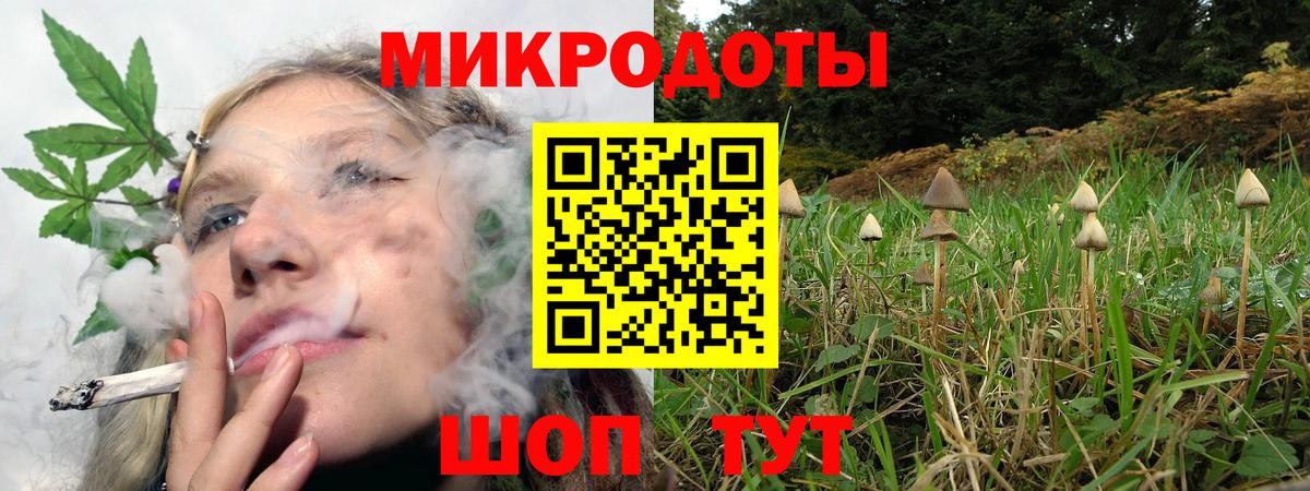 Галлюциногенные грибы Psilocybe  Псилоцибиновые грибы Magic Shrooms  Вход с VPN  Ржев 