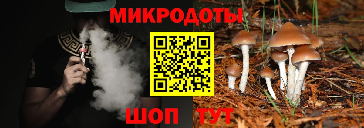 Псилоцибиновые грибы Psilocybe Ржев